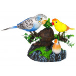 Spievajúce a pohybujúce sa farebné papagáje