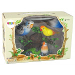 Spievajúce a pohybujúce sa farebné papagáje