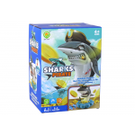 Arkádová hra - Shark Pirate Exploding Coins, koleso na točenie