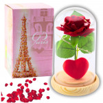 Večná ruža v kupole LED osvetlením – červená so srdcom