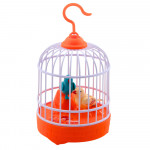 Spievajúce vtáčiky v klietke – oranžová