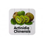 Edukačné puzzle ovocie s anglickými nápismi