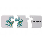 Edukačné puzzle Svet oceánov