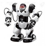 Robot Robone RC RTR bielo-čierny