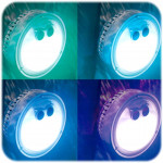 Viacfarebná LED lampa na batérie pre SPA INTEX 28503