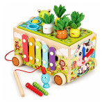 Drevená vzdelávacia kocka „žabka“ 8 v 1 – vozík, triedič, cimbaly, lovenie červíkov – ECOTOYS
