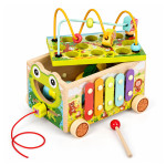 Drevená vzdelávacia kocka „žabka“ 8 v 1 – vozík, triedič, cimbaly, lovenie červíkov – ECOTOYS