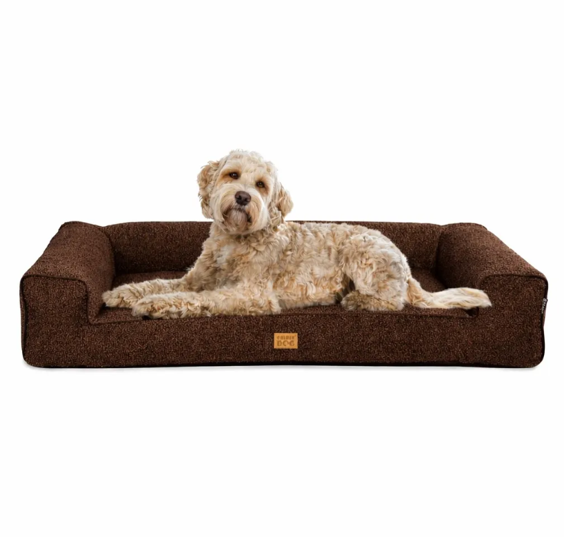 Golden Dog Pelech Golden Dog Boucle Torres XL – hnedý