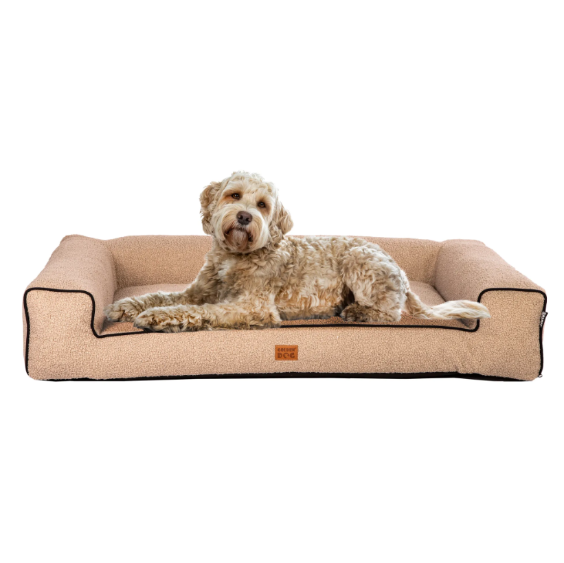 Golden Dog Pelech Golden Dog Boucle Torres M – krémový
